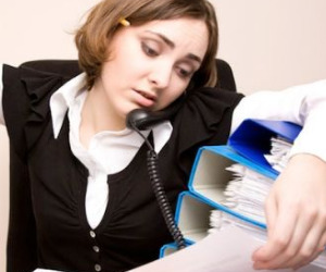 Документовед