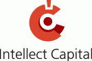"Интеллект Кэпитал"