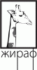 ЖИРАФ