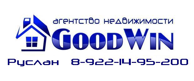 GoodWin logo ruslan