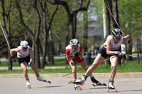 Лыжероллеры. Фото с сайта skisport.ru