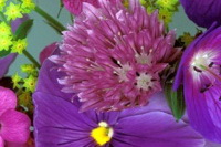 Цветы. Фото с сайта naselo.ru Цветы. Фото с сайта naselo.ru